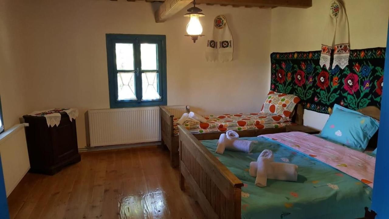 Дома для отпуска Casa Floare de Nu Mă Uita - Poiana Creasta Cocoșului Breb-27