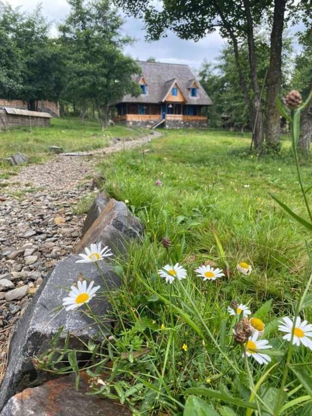 Дома для отпуска Casa Floare de Nu Mă Uita - Poiana Creasta Cocoșului Breb-80